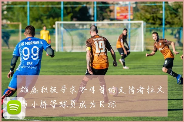 雄鹿积极寻求字母哥的支持者拉文与小桥等球员成为目标