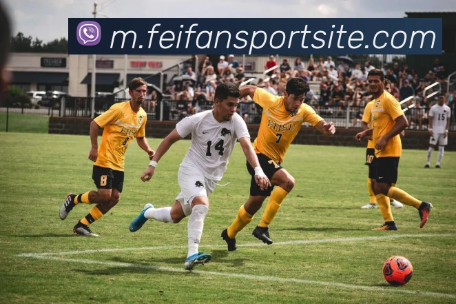 非凡体育品牌故事